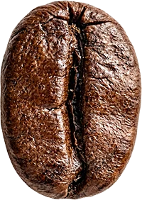 coffee grain