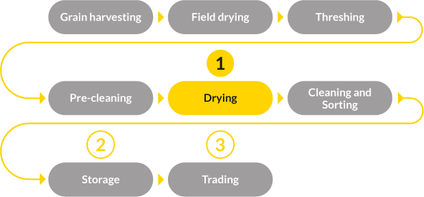 grain neo process flow