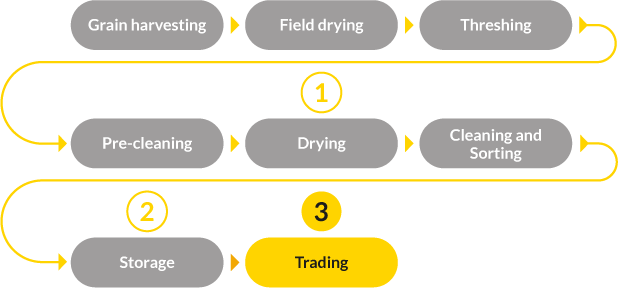 grain neo process flow